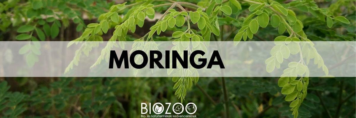 Moringa kutyáknak