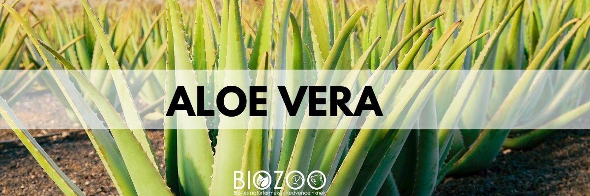 Aloevera kutyáknak