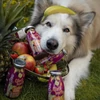 SmoothieDog - Gyümölcsös smoothie kutyáknak 250ml