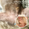 természetes krém kutyáknak allergiás bőrre
