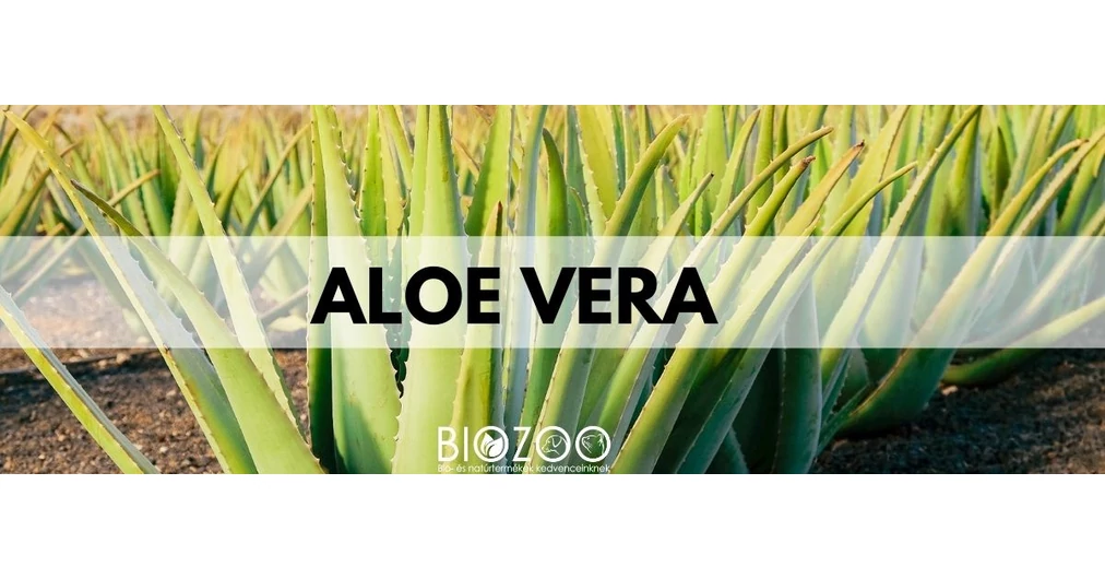 dangers of aloe vera during pregnancy Safe Maternity Skin Care Kit main image 0