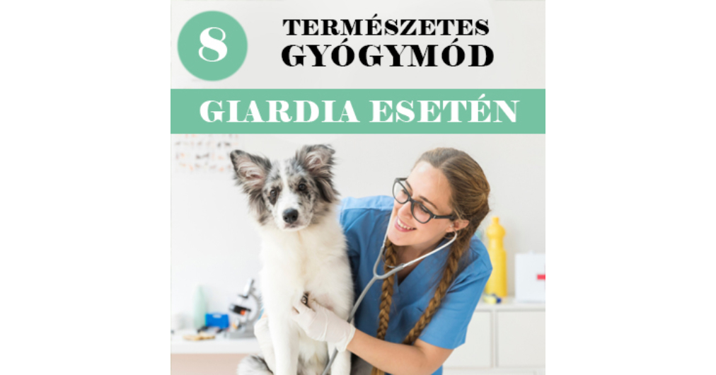 8 természetes gyógymód kutyánk Gardia-fertőzése esetén Gyógymódok giardia