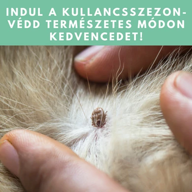 Indul a kullancsszezon - Védd természetes módon kedvencedet!