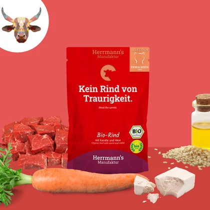 Bio marhahús menü macskáknak