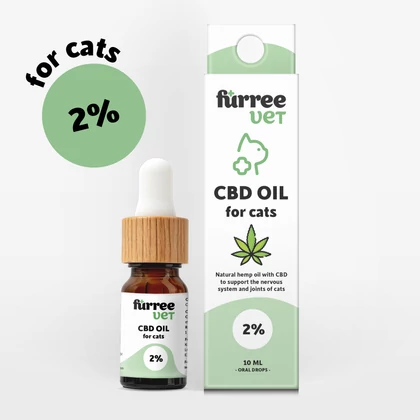 CBD olaj macskáknak