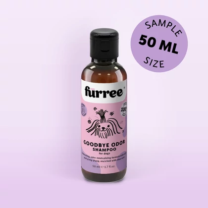 kutyasampon kellemetlen szagok ellen
