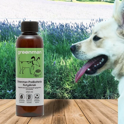 Természetes probiotikum kutyáknak