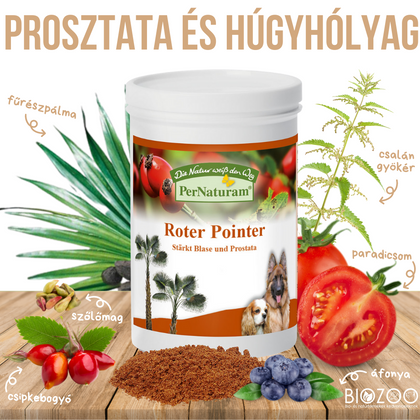 prosztata és húgyhólyag gyógynövény kutyáknak