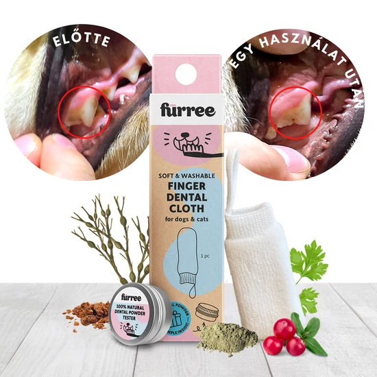 kutya fogkefe fürree