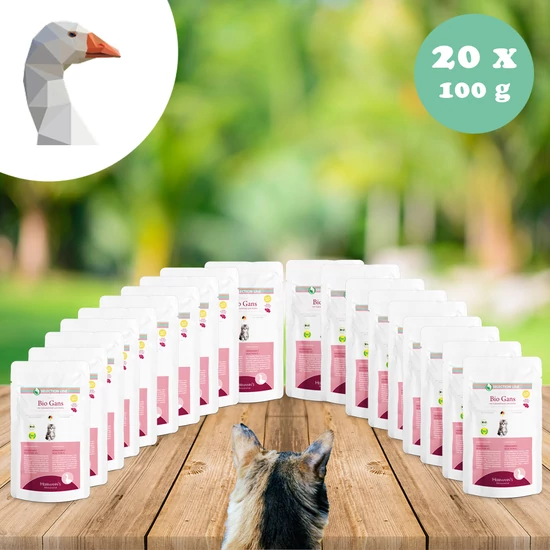 Bio libahús menü kölyökmacskáknak
