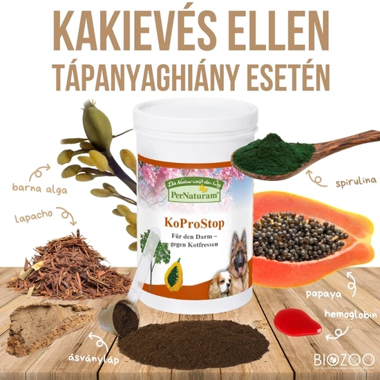 kutyáknak kakievés ellen