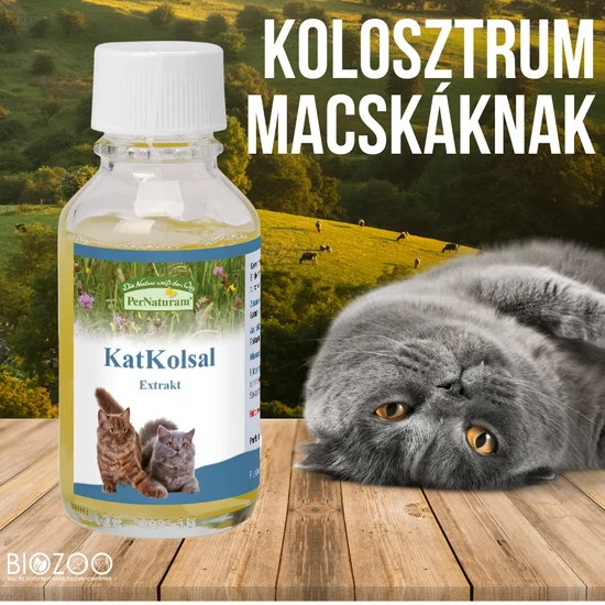 kolosztrum macskáknak
