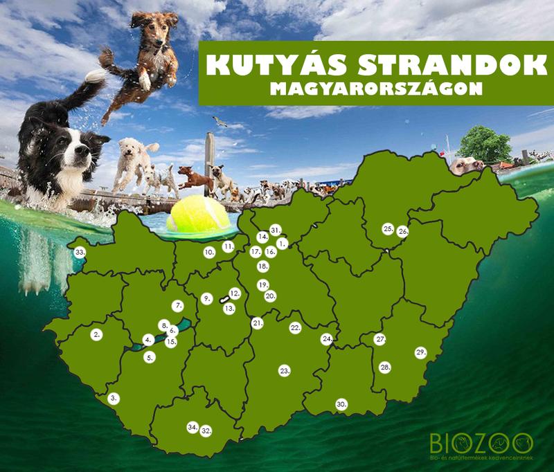 Kutyastrand sopron Kutyastrand sopron
