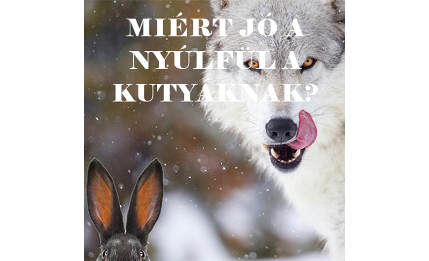 Miért jó a szőrös nyúlfül a kutyáknak?